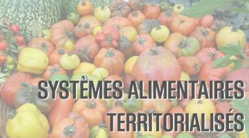 Acteurs, leviers, outils pour mener les transitions du système alimentaire