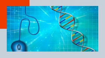 Bioinformatique : algorithmes et génomes