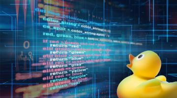 Computing in Python I: Fundamentals and Procedural Programming