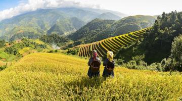 Landscape Governance: Collaborating Across Sectors and Scales