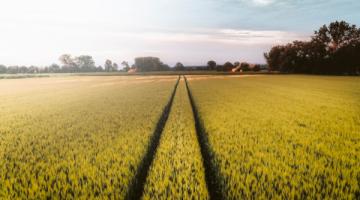 Qu'est-ce que l'agroécologie