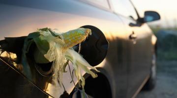 From Fossil Resources to Biomass: A Chemistry Perspective