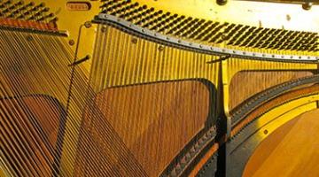 String Processing and Pattern Matching Algorithms