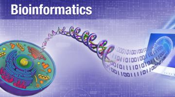 Bioinformatics: Introduction and Methods 生物信息学: 导论与方法