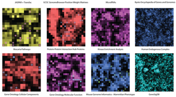 Big Data Science with the BD2K-LINCS Data Coordination and Integration Center